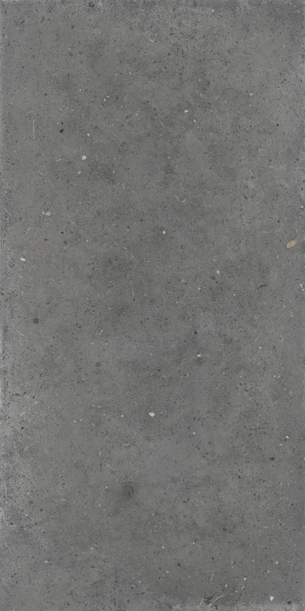 плитка Whole Stone Grey
